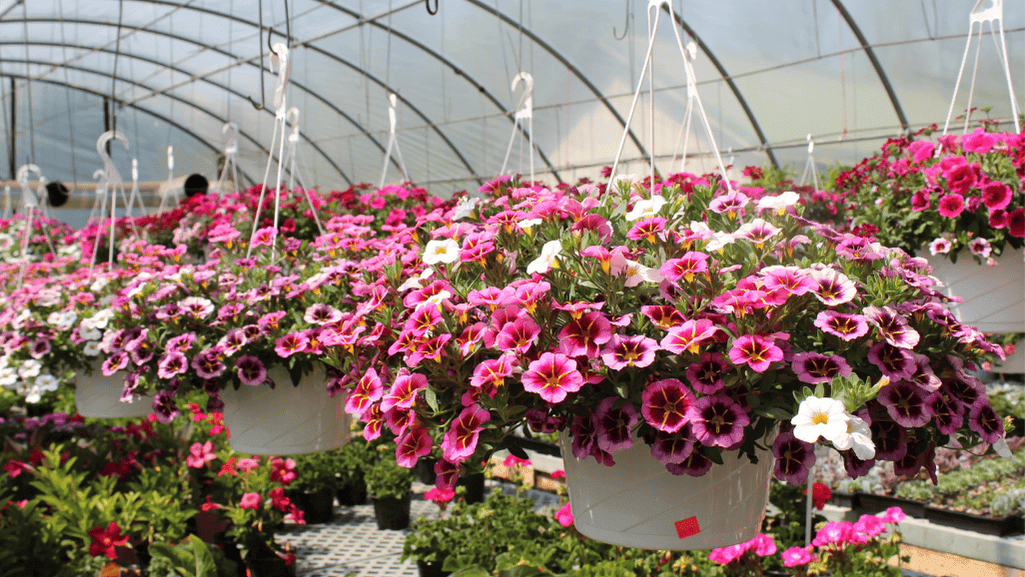 Amish greenhouse supplies