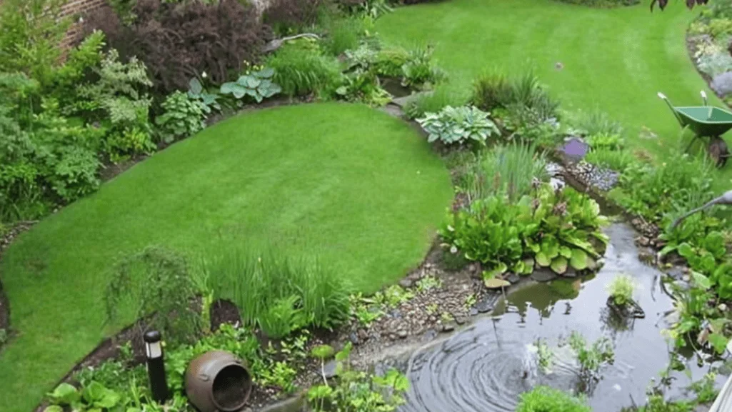 Attracting Wildlife with a Monsoon Climate Garden Setup