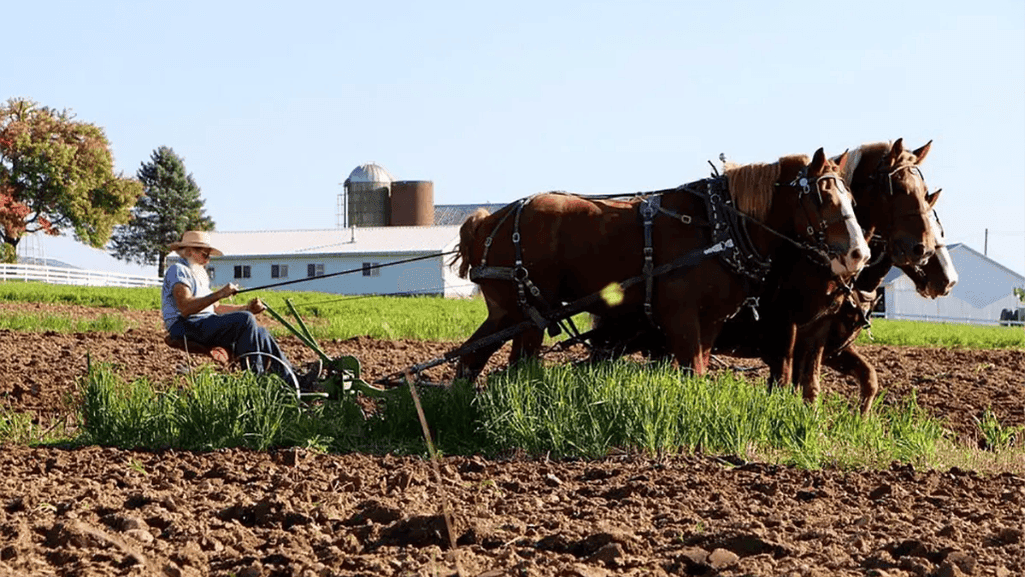 Embracing the Amish Philosophy of Sustainable Living