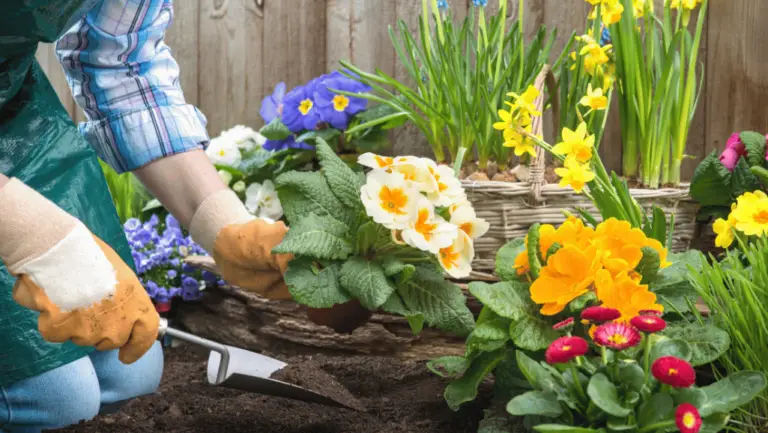 Flower Gardens