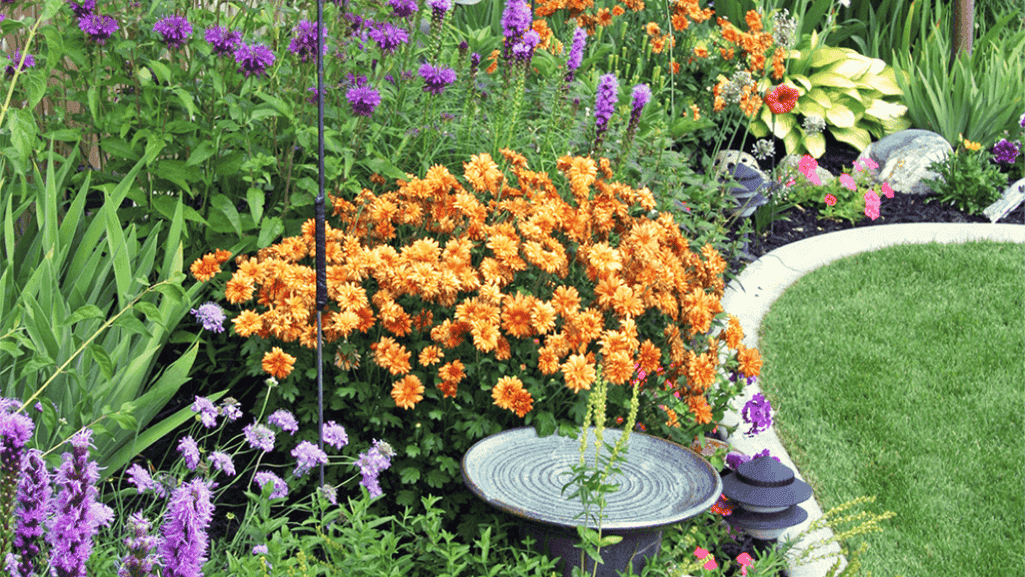 Garden Landscaping Tips