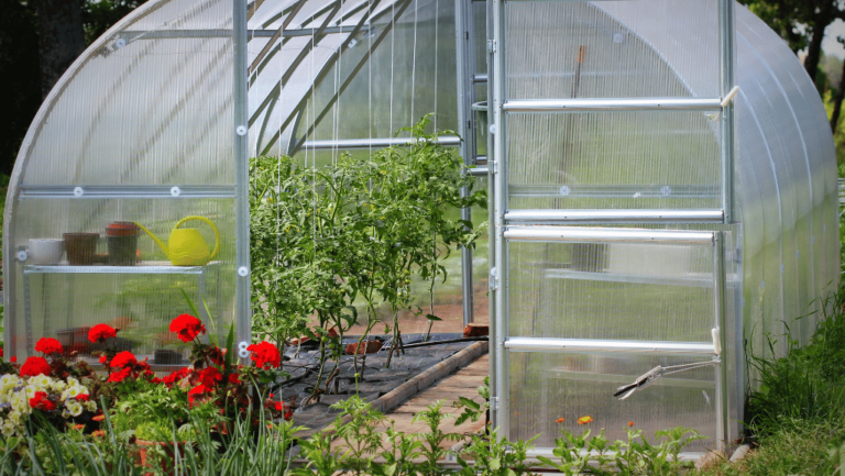 Greenhouse for Backyard