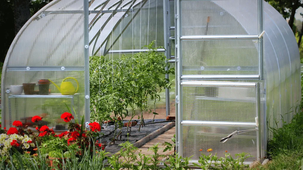 Greenhouse for Backyard: Optimize Your Garden Space 1 Greenhouse for Backyard