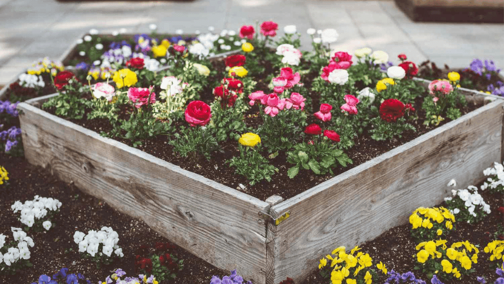 Landscape Architecture with Floral Displays