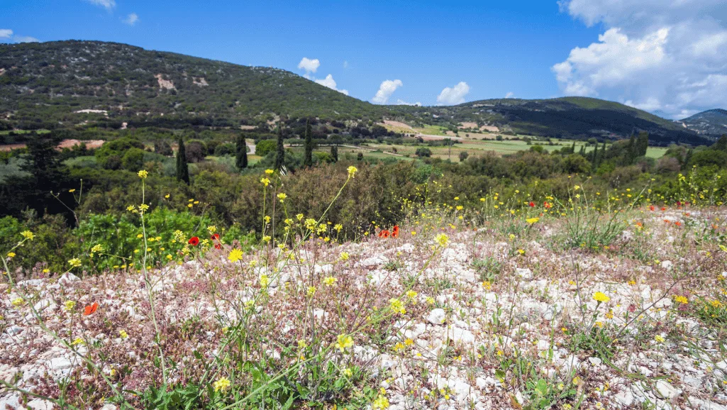 Exploring the Warmth of a Mediterranean Climate Region 1 Mediterranean Climate