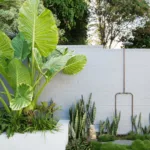 Tropical Climate Garden