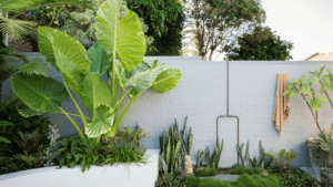 Tropical Climate Garden