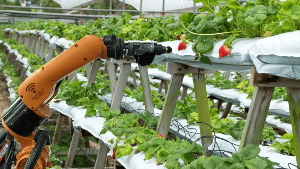 Using Technology to Enhance Tropical Region Gardening