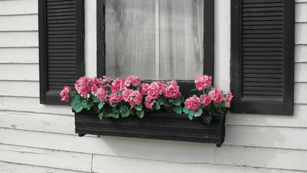 maintenance tips for window boxes