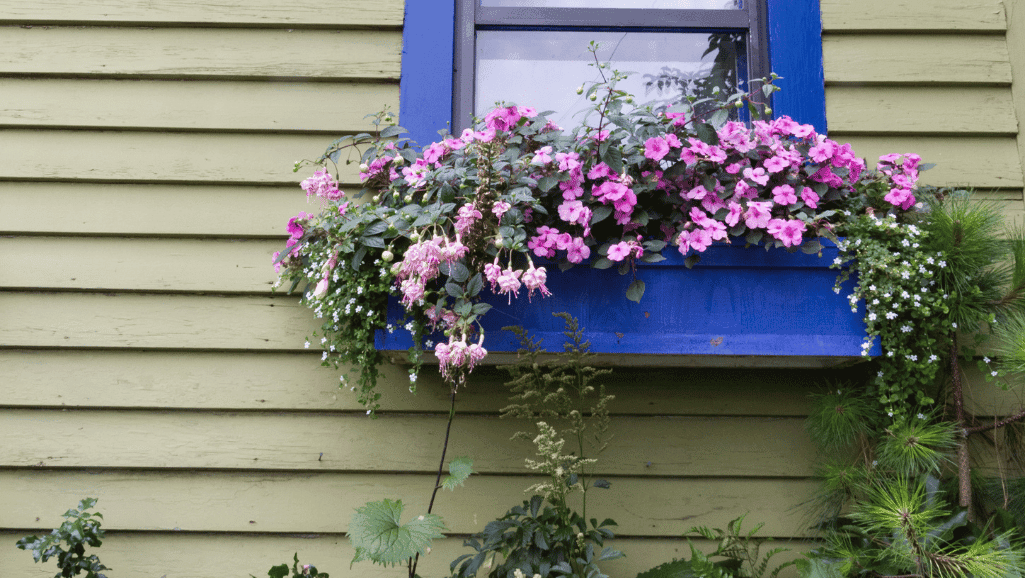 Wooden window flower boxes