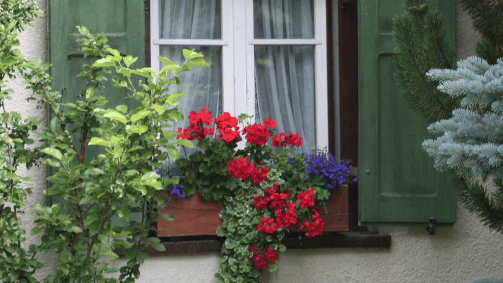 traditional wooden flower boxes