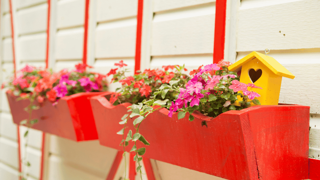 Wooden window flower boxes