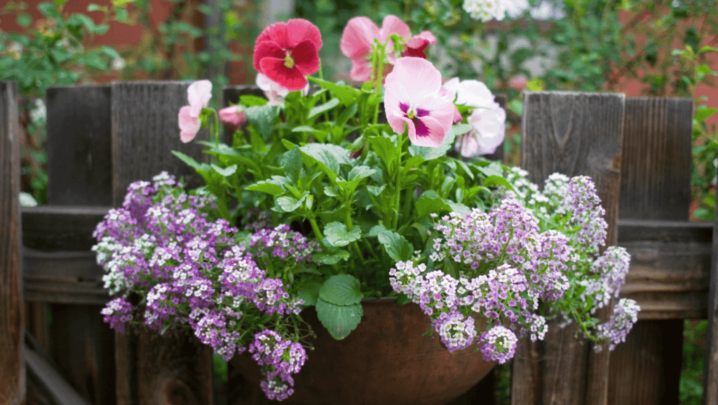 Vertical gardening with flowers