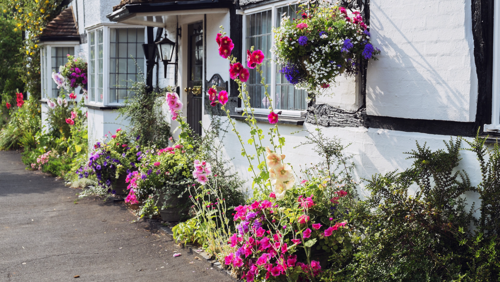 Color Magic in Cottage Gardens