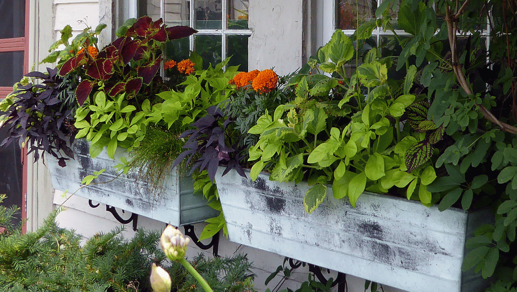 Decorative Faux Window Planters