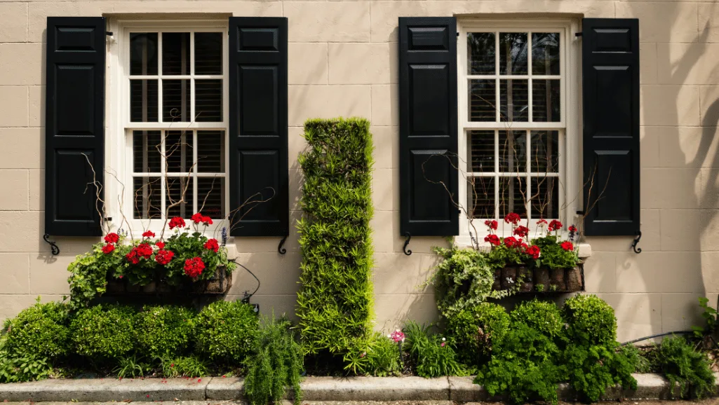Cascading spiller flowers in window boxes