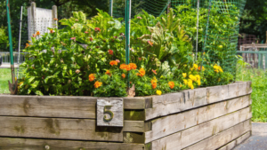 Gardining Raised Beds