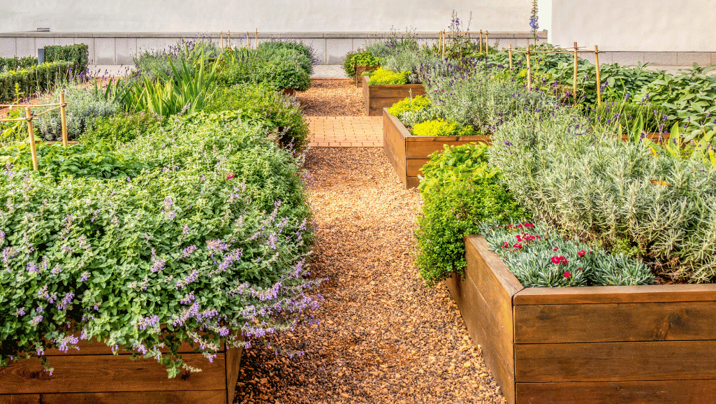 Innovative raised bed garden design