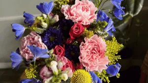 January Flower Guide