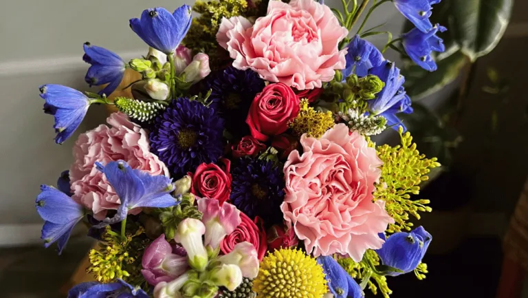 January Flower Guide: Colors & Meanings Revealed 1 January Flower Guide