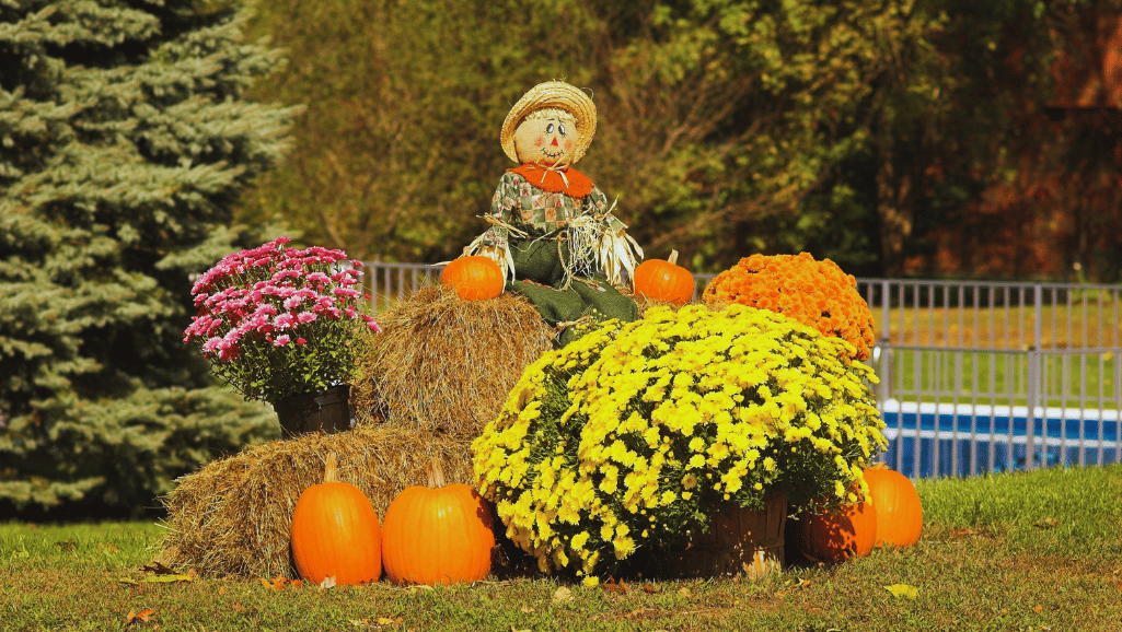 Autumn Floral Arrangement