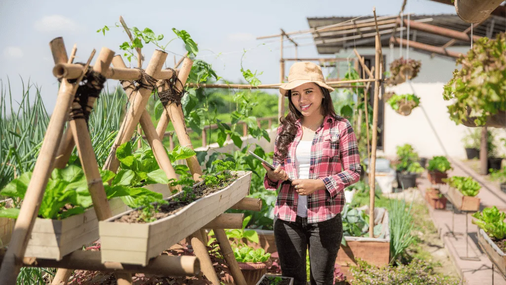 urban rooftop farming