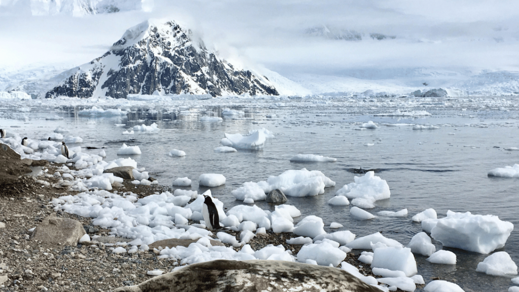 Impact of climate change on mountain ecosystems