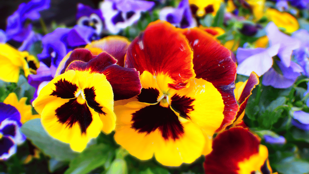 March flower bouquets