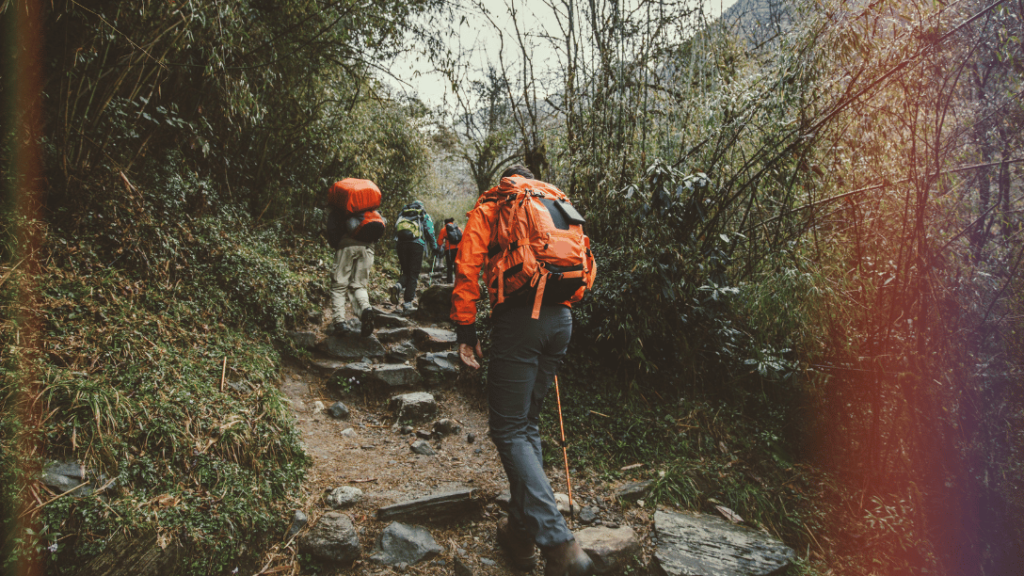 Trekkers on a mountain trail in the Himalayas