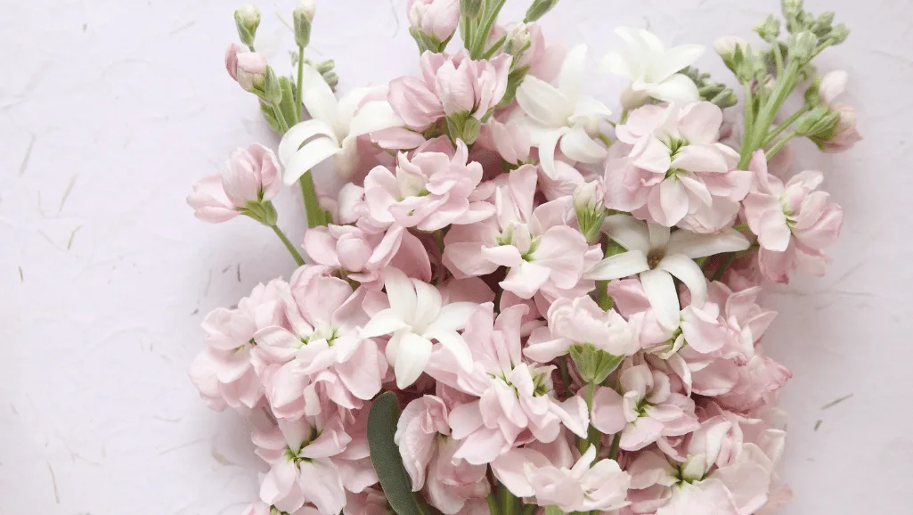 Wholesale flowers