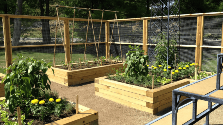 Fence Raised Garden