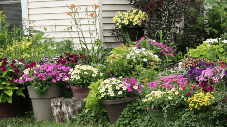 Flower Bed with Potted Plants