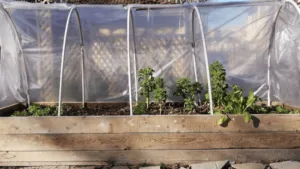 Garden Bed Covers