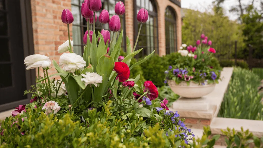 Spring container gardening ideas for balcony flower planters and porch potted blooms