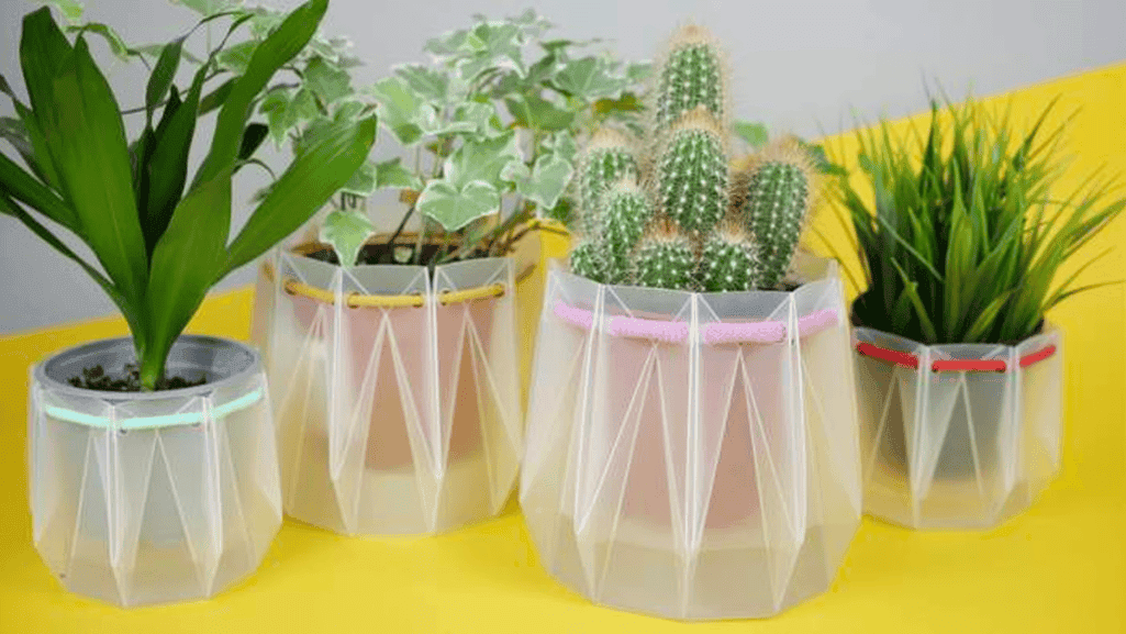 Flat Planters: Sleek Solutions for Modern Gardening 1 flat planters