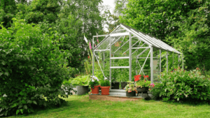 Cheap Greenhouse