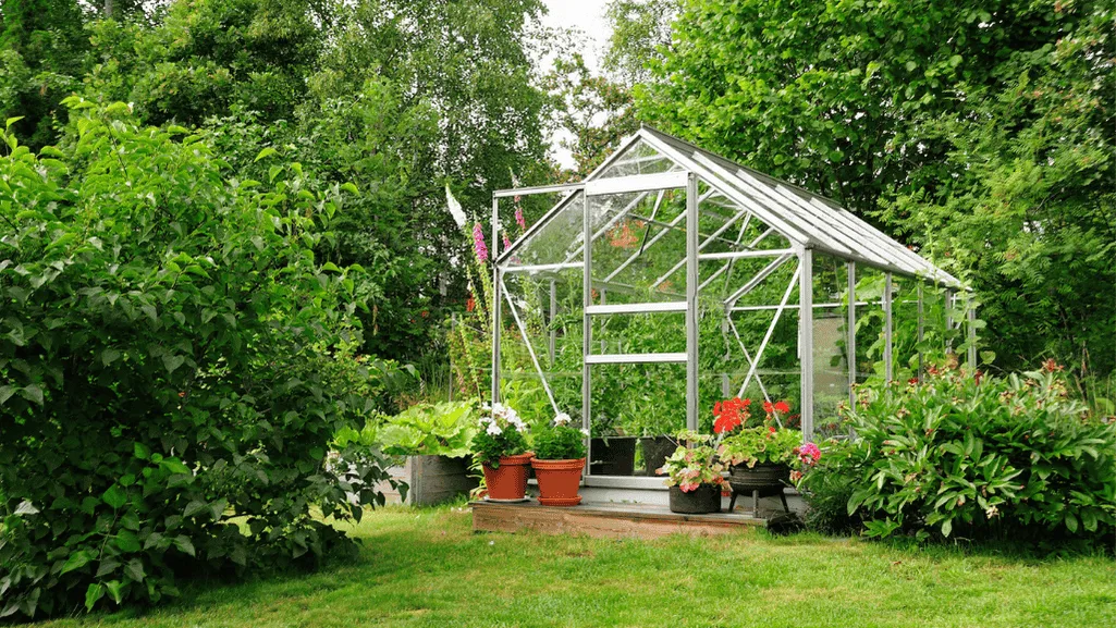 Affordable Cheap Greenhouse Options for Your Garden 1 Cheap Greenhouse