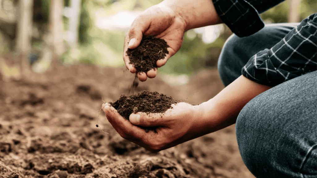 Different types of soil for various gardening needs