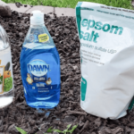 DIY Weed Killer