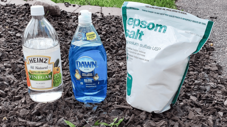 DIY Weed Killer