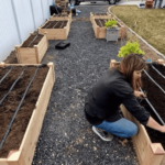 Drip Irrigation for Raised Beds