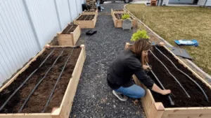 Drip Irrigation for Raised Beds