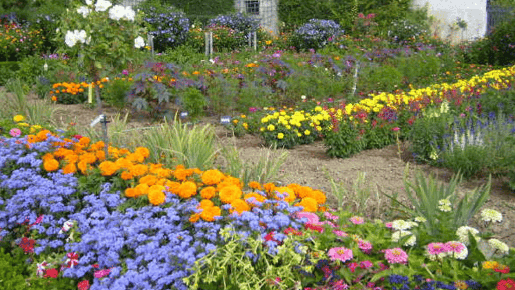 Flower gardening books for enthusiasts