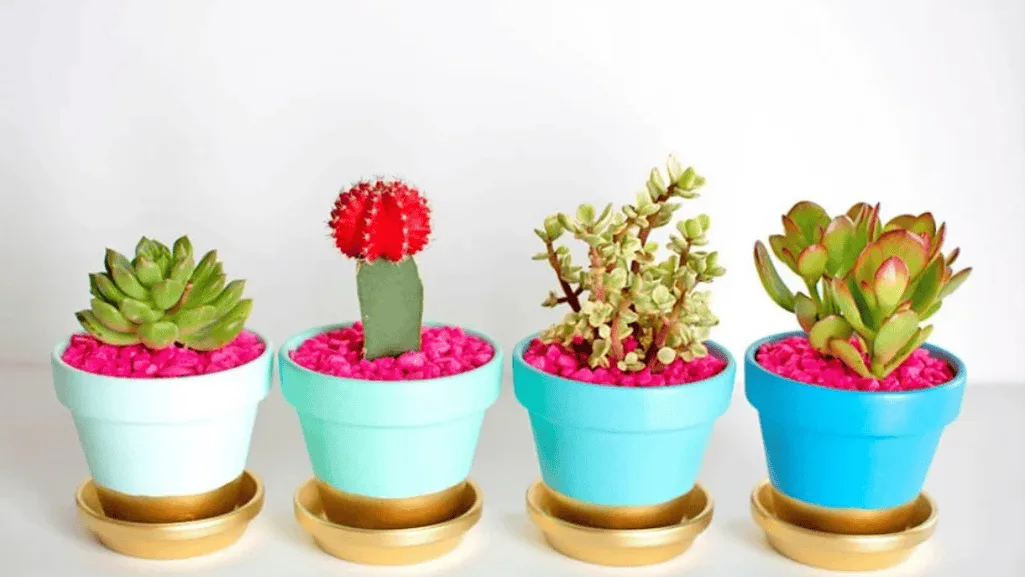 Painted terracotta pots for DIY container gardening