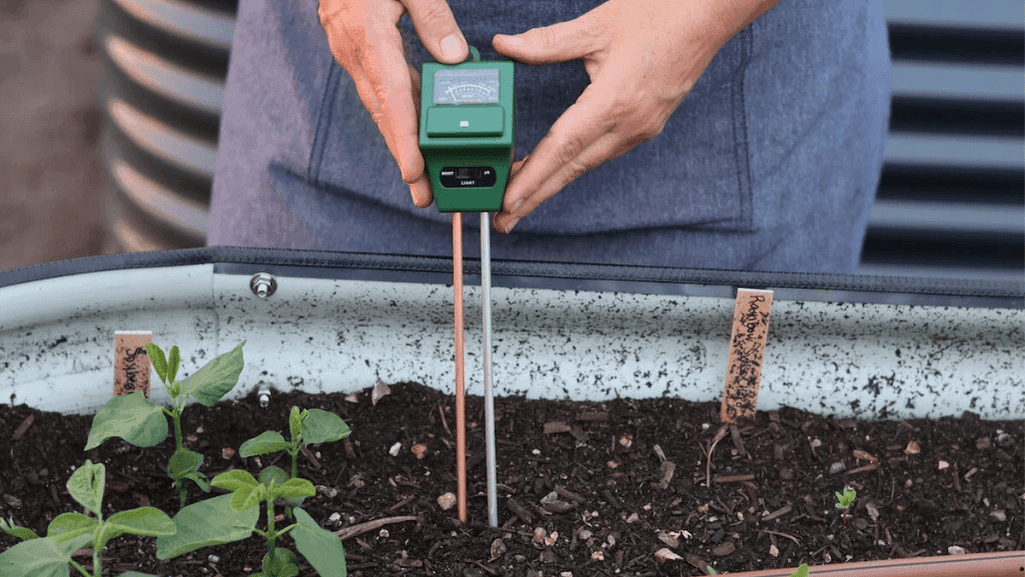 Testing soil pH levels for optimal plant growth