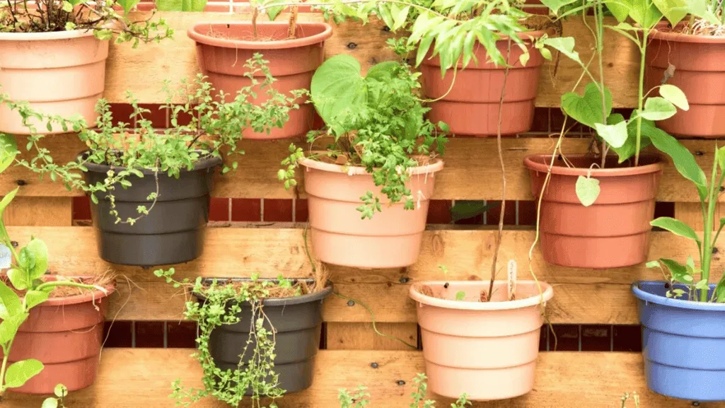 Vertical garden containers for small space gardening