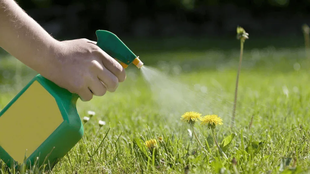 homemade weed killer that works