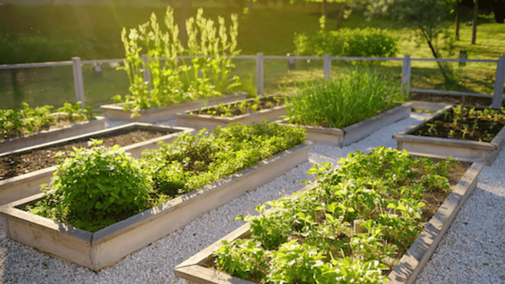 sustainable gardening practices