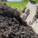 Best Organic Fertilizer