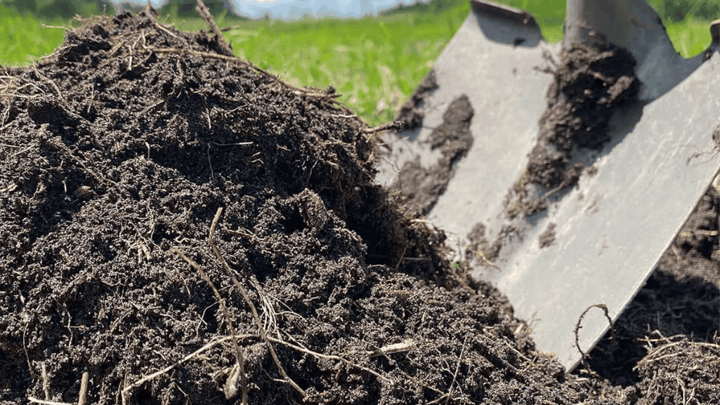 Best Organic Fertilizer